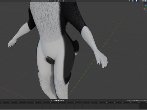 Thomas Anthro Husky 3D Model
