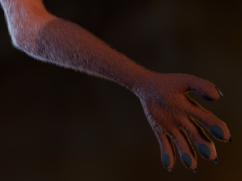 Nakami Anthro Fox Modello 3D