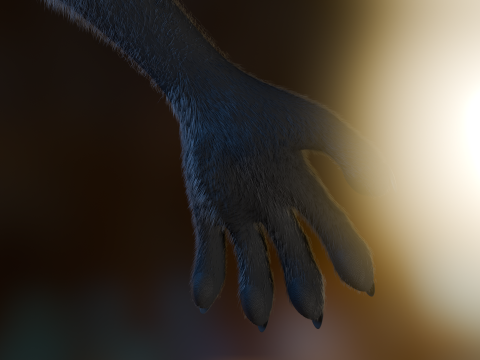 Yumi Anthro Fox 3D Модель