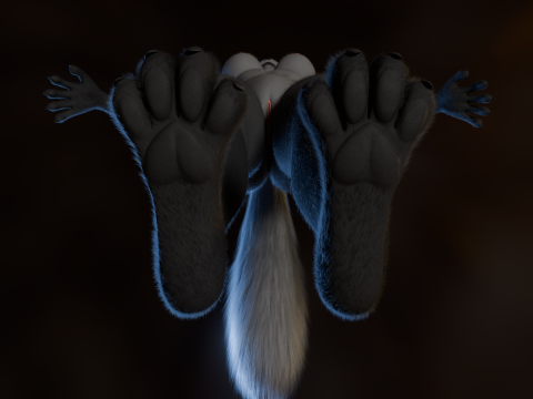 Yumi Anthro Fox 3D Модель