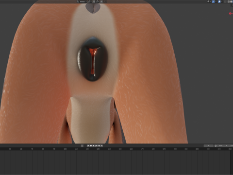Nika Fox Version 2 3D Model