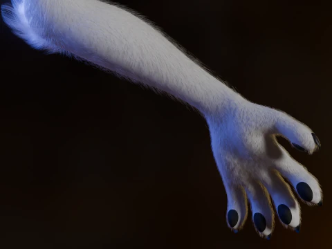 Dimitri Anthro Wolf 3D Model