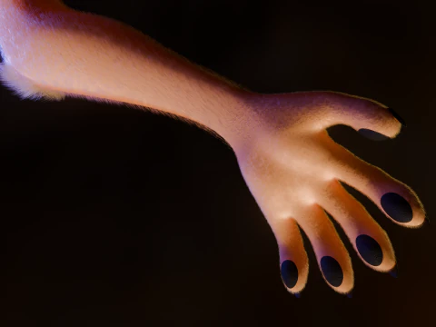 Ash Antro Fox Modelo 3D