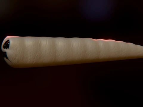 Cursed Worm 3D Model