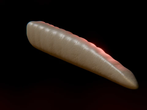 Cursed Worm 3D Model