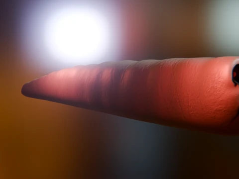 Cursed Worm 3D Model