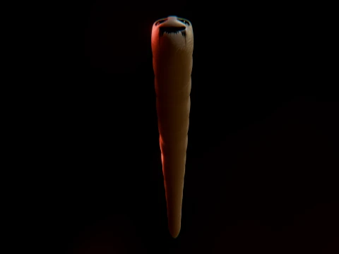 Cursed Worm 3D Model