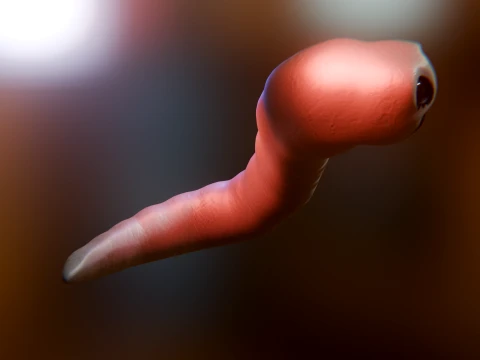 Cursed Worm 3D Model