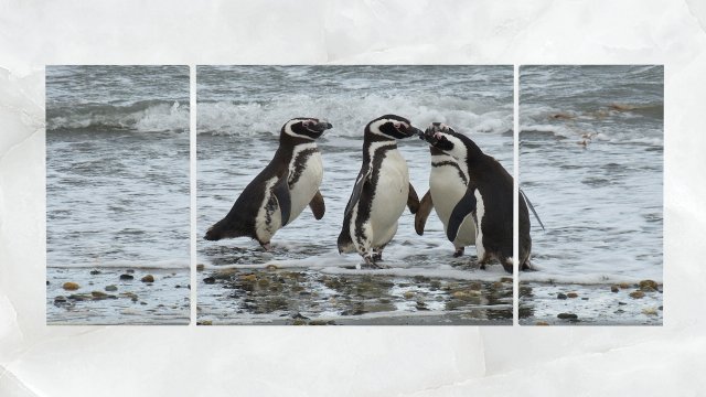 triptych wall art penguins 1 3D Model .c4d .max .obj .3ds .fbx .stl .blend 