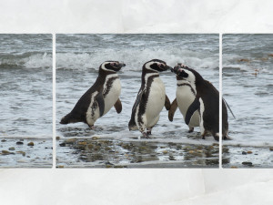 triptych wall art penguins 1 3D Model