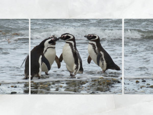 triptych wall art penguins 1 3D Model