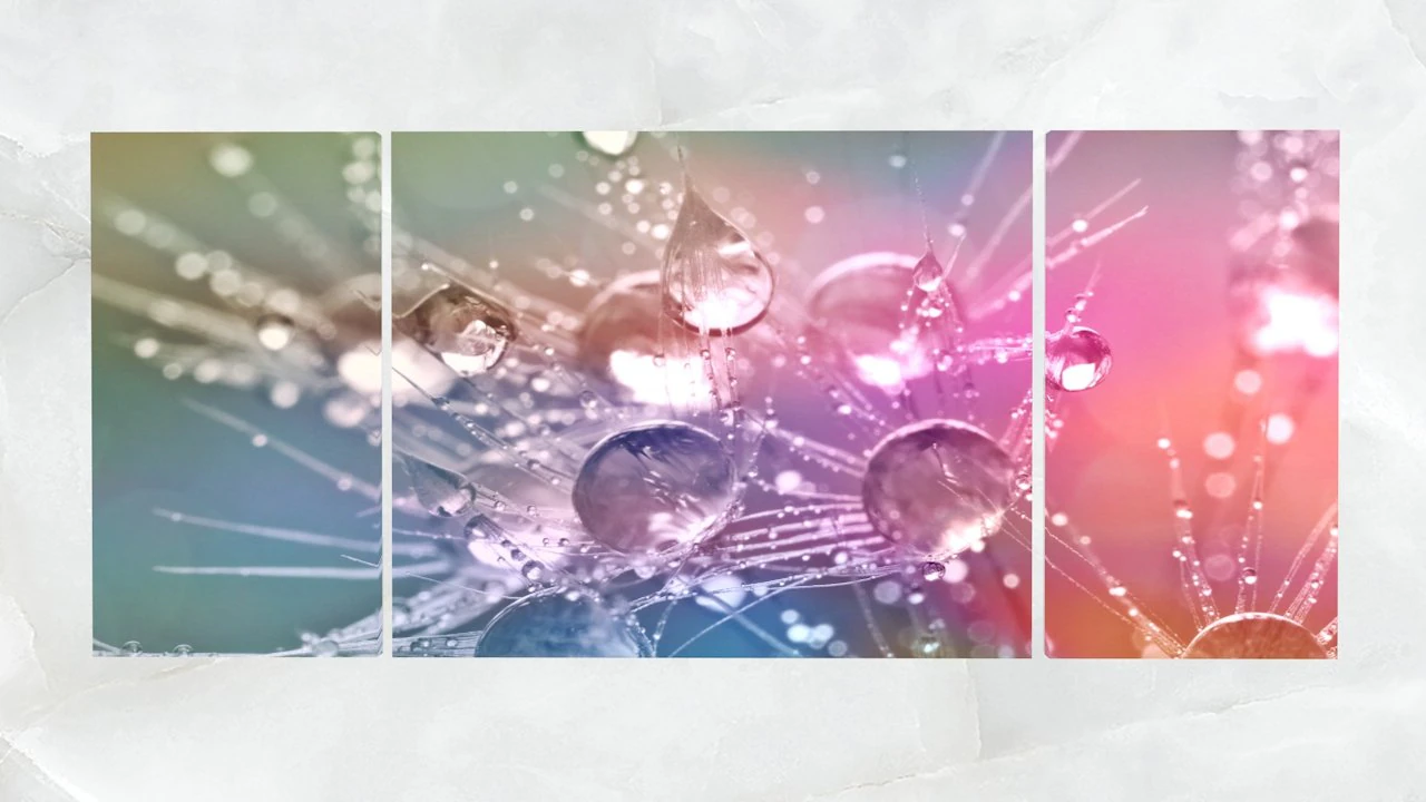 triptych wall art morning dew drops 1 3D Model .c4d .max .obj .3ds .fbx .stl .blend 