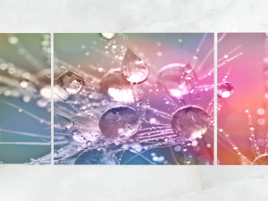 triptych wall art morning dew drops 1 3D Model