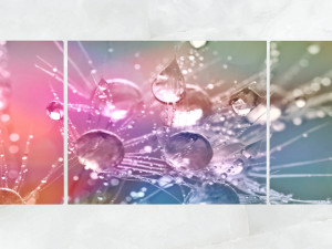 triptych wall art morning dew drops 1 3D Модель