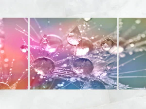 triptych wall art morning dew drops 1 3D Model