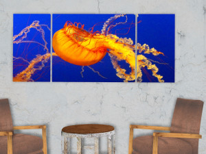 triptych wall art jellyfish 1 3D Model