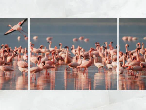 triptych wall art flamingos 1 3D Model