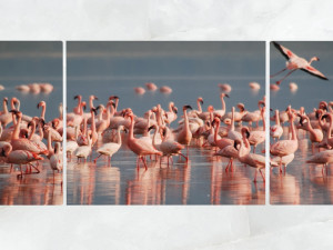 triptych wall art flamingos 1 3D-Modell