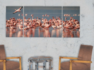 triptych wall art flamingos 1 3D-Modell