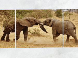 triptych wall art playful safari elephants 1 3D Model