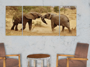 triptych wall art playful safari elephants 1 3D-Modell