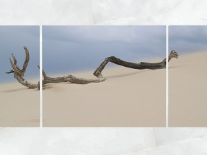 triptych wall art driftwood tree branch 1 3D Model