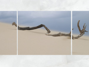 triptych wall art driftwood tree branch 1 3D 模型