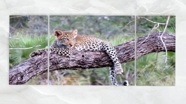 triptych wall art baby leopard 1 3D Модель .c4d .max .obj .3ds .fbx .stl .blend 