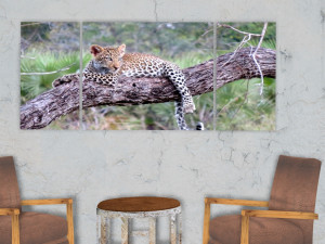 triptych wall art baby leopard 1 3D Модель