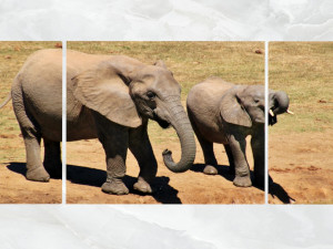 triptych wall art mother and baby elephant 1 3D 모델