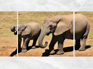 triptych wall art mother and baby elephant 1 3D Model