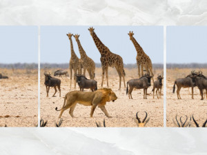 triptych wall art african safari 1 3D 모델