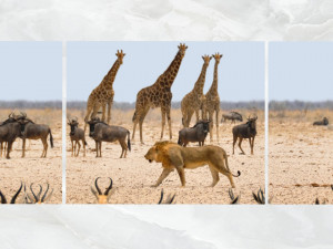 triptych wall art african safari 1 3Dモデル