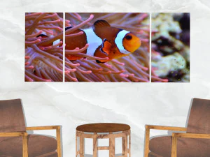triptych wall art clownfish and sea anemone 1 3D Model