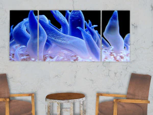 triptych wall art blue sea anemone 3D Model