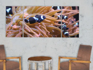 triptych wall art sea anemone and fishes 3D Model
