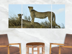 triptych wall art cheetahs 1 3D Модель