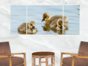 triptych wall art duck chicks 3D Model