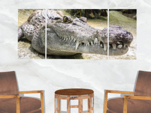 triptych wall art crocodile 3D Model