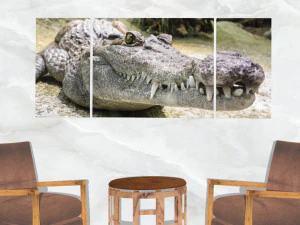 triptych wall art crocodile 3D Model
