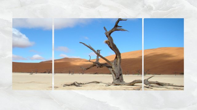 triptych wall art scenic dead tree 3D-Modell .c4d .max .obj .3ds .fbx .stl .blend 