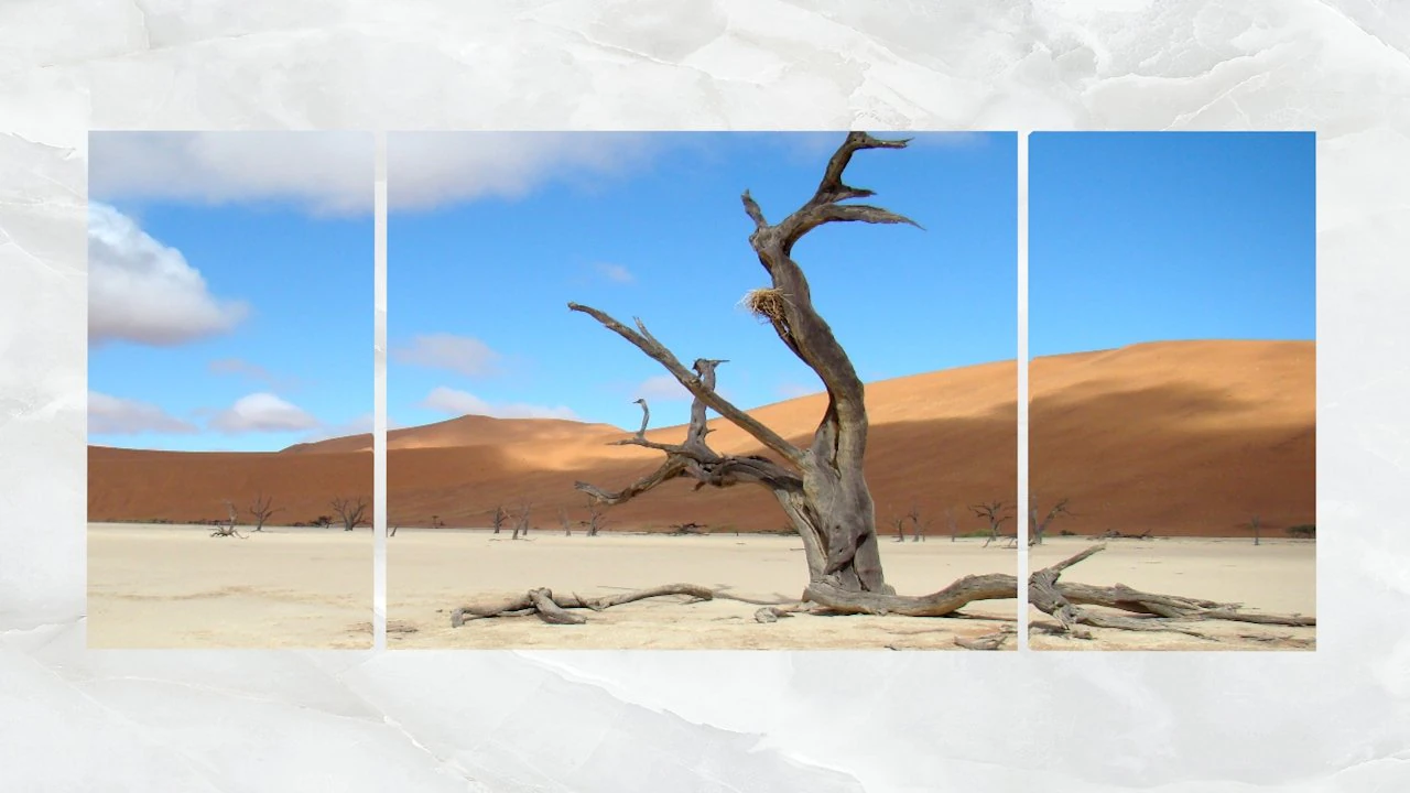 triptych wall art scenic dead tree 3D Model .c4d .max .obj .3ds .fbx .stl .blend