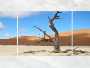 triptych wall art scenic dead tree 3D 모델