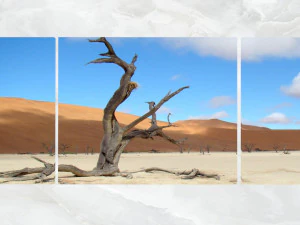 triptych wall art scenic dead tree 3D Model