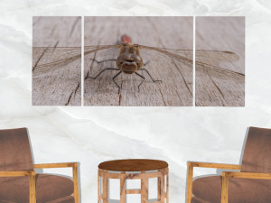 triptych wall art dragonfly 3D Model