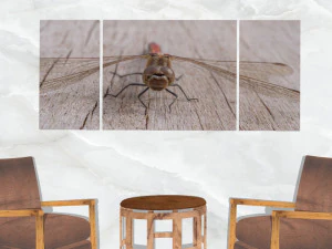 triptych wall art dragonfly 3D Model