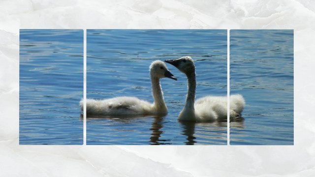 triptych wall art ducklings 3D Model .c4d .max .obj .3ds .fbx .stl .blend 
