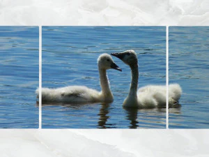 bebek seni dinding triptych Model 3D