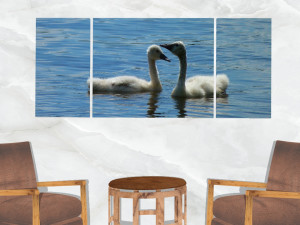 triptych wall art ducklings 3D Model