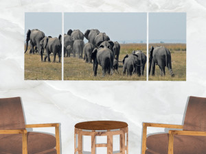 triptych wall art herd of elephants 3D Model